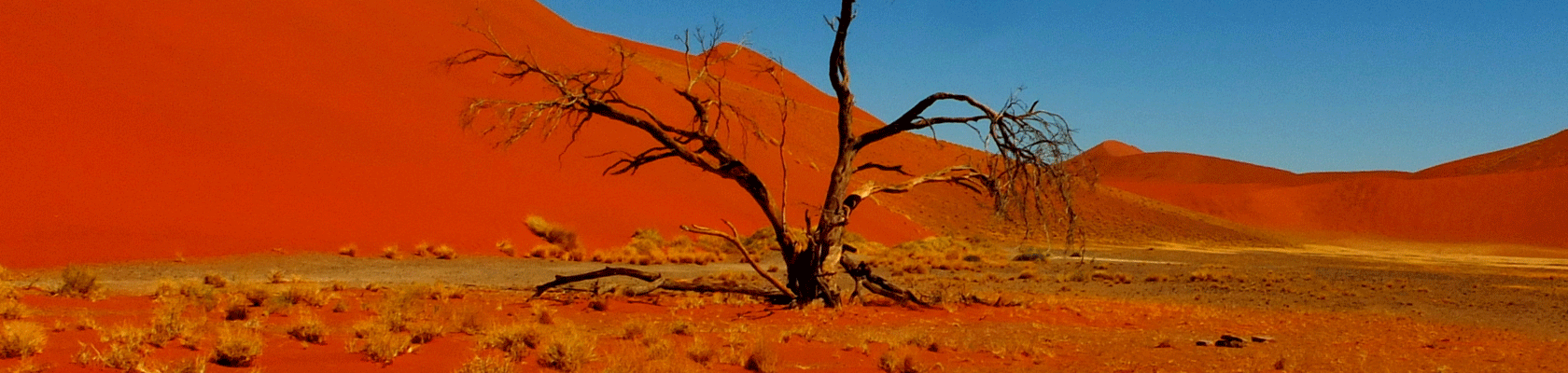 Rondreis Namibië