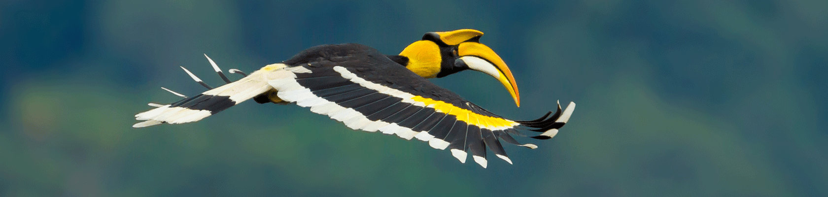 Rondreis Maleisi&euml;