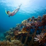 Snorkelen Menjangan Island, Bali