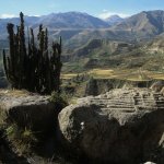 pe_al_colca canyon - arequipa.jpg