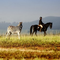 Paardrijden, Swaziland