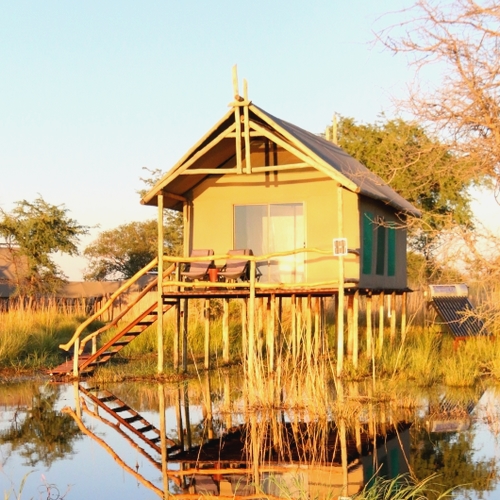 Camp Chobe