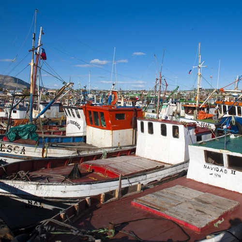 Puerto Natales Haven
