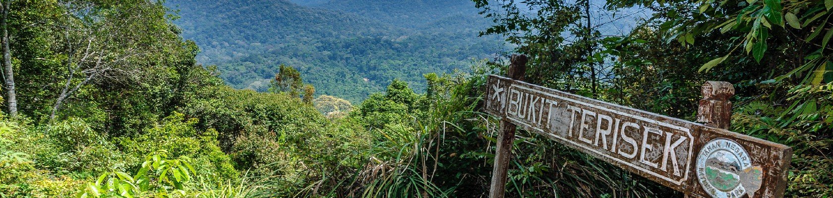 Taman Negara