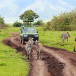 tz_al_ngorongoro.jpg