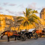 co_cargatena_horsedrawncarriage_alg.jpg