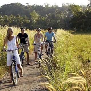Fietsen Galle Rijstvelden