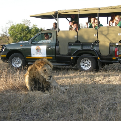 Timbavati Safari Lodge