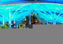 Loligo Resort, bar