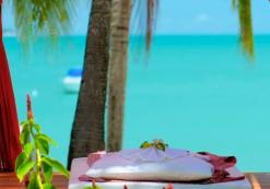 overige   Samui Palm Beach overige   Samui Palm Beach