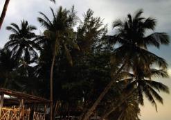 my_ac_bertiost.jpg Berjaya Tioman