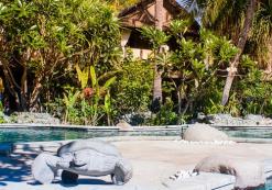 id_gili_acc_sunrise_zw.jpg Sunrise Hotel, zwembad