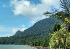 my_al_damai.jpg Damai