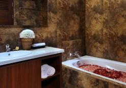 radha phala bathroom.jpg Radha Phala bathroom