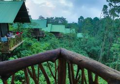 La Tigra Rainforest Lodge La Tigra Rainforest Lodge