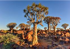 Keetmanshoop Keetmanshoop