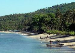 ID_AC_PuriMasST strand