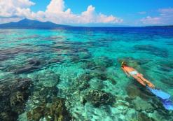 ID_AL_snorkelen1 snorkelen