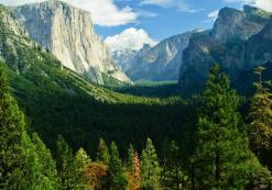 Yosemite National Park