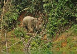 Khao Sok Nationaal Park