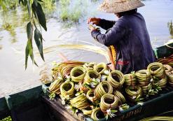 Mekong Delta