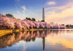 Washington