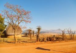 Mlilwane Nationaal Park