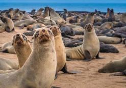 Swakopmund & Pelican Point