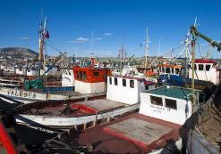 Puerto Natales