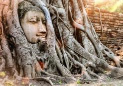 Ayuttaya