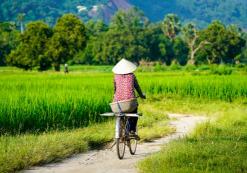 Mekong Delta