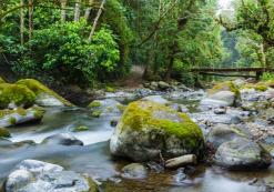 Rivier in bij San Gerardo de Dota