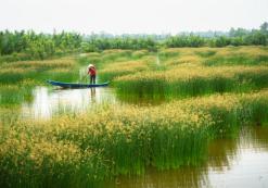Mekong Delta