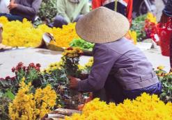 Ho Chi Minh City