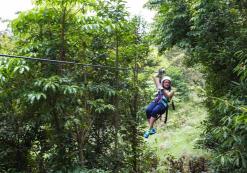 Canopy in Monteverde