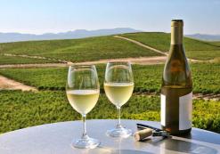 Napa Valley