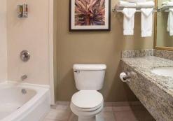Gray Wolf Inn & Suites, badkamer