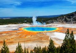 Yellowstone Grand Prismatic Springs