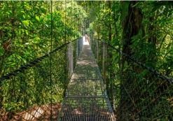 Arenal Nationaal Park wandelbrug