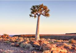 Fish River Canyon