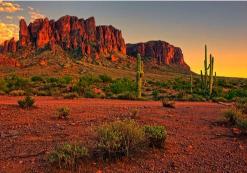 Sonoran desert