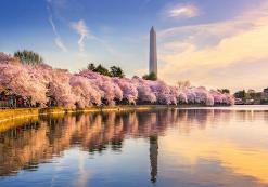 Washington