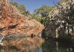 Tzaneen