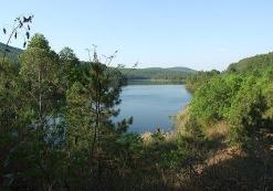 Tzaneen