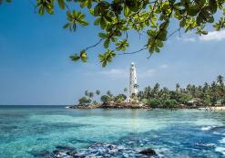 Galle Galle