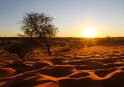 Kalahari woestijn zonsondergang