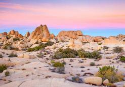 Mojave Desert Mojave Desert