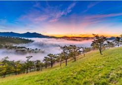 Dalat