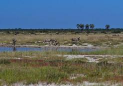 Grootfontein