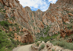Swartberg